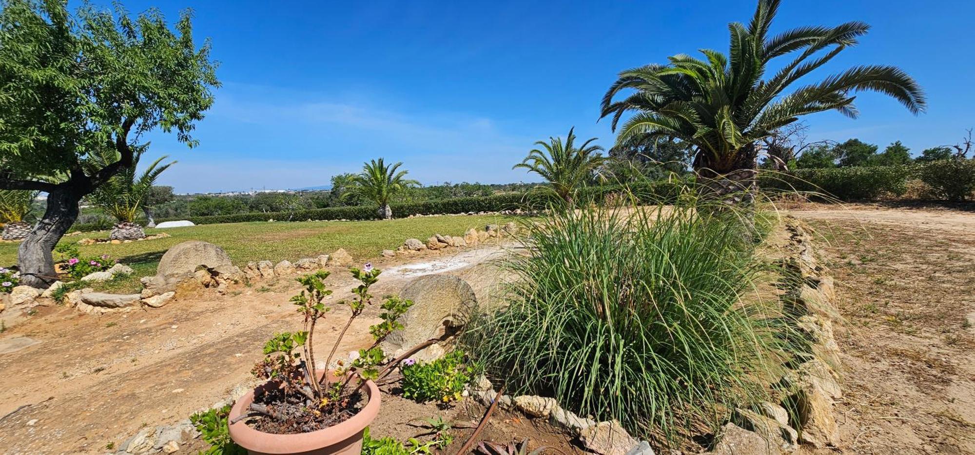 הוילה אלבופיירה Quinta Do Lagar מראה חיצוני תמונה